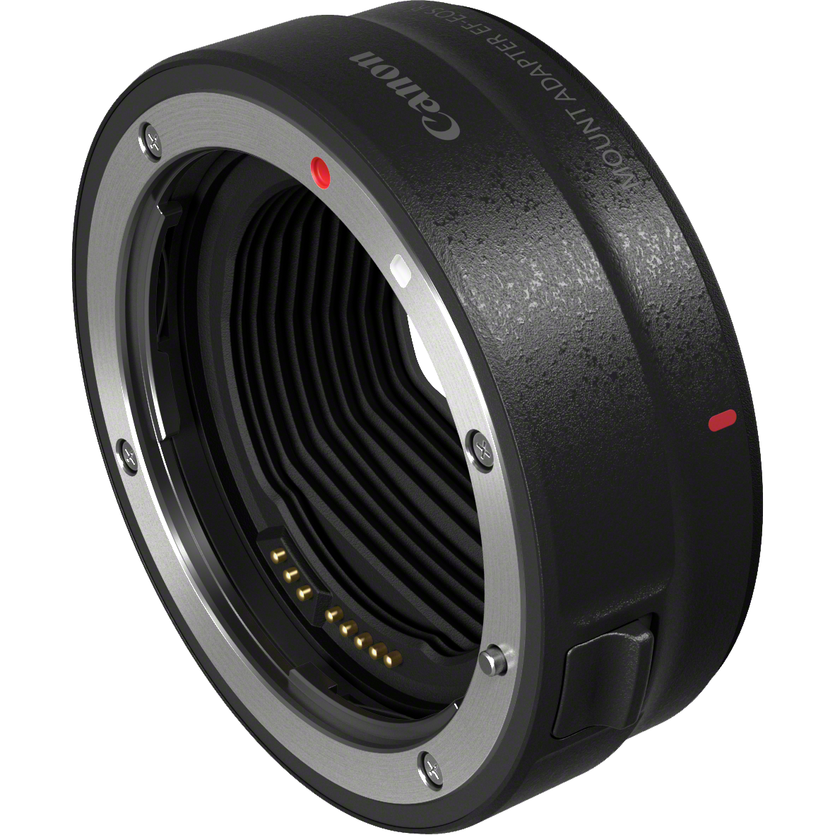 Canon EF-EOS R – Ansicht von vorne