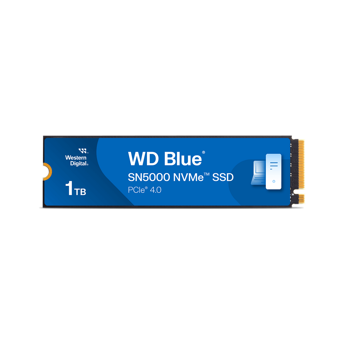 WD Blue SN5000 1 TB NVMe-SSD – Vorderseite