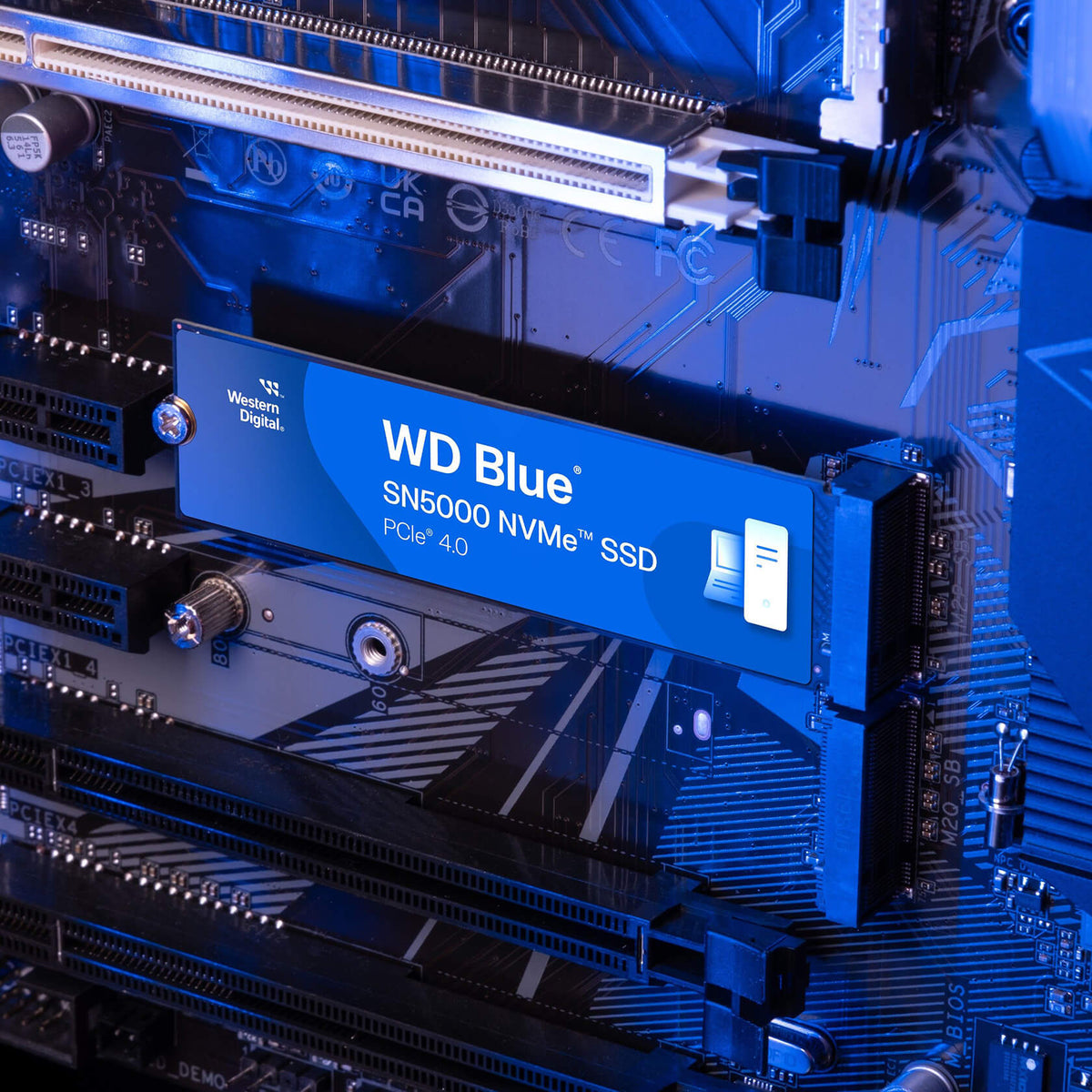WD Blue SN5000 im PC eingebaut